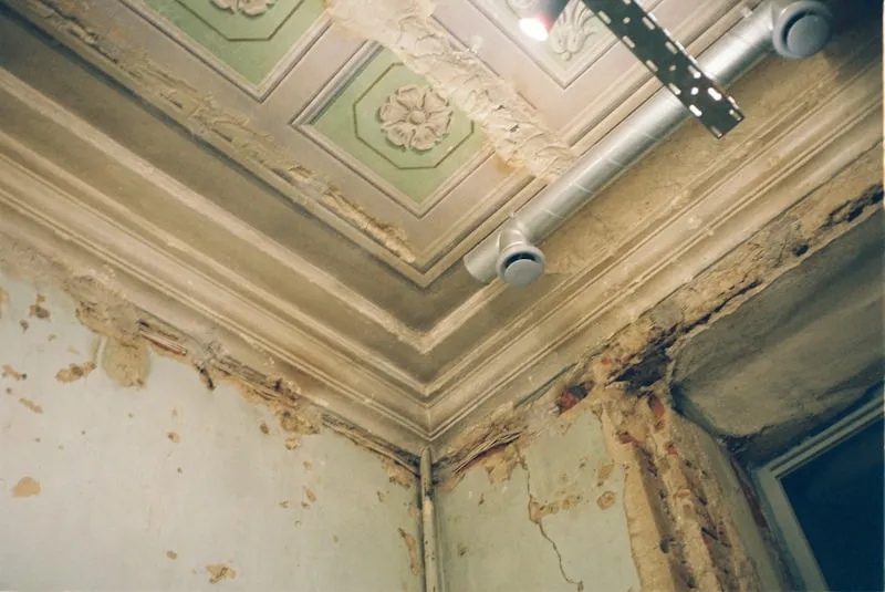 Water damage and mold growth on an older ceiling — peeling paint and discoloration from moisture intrusion